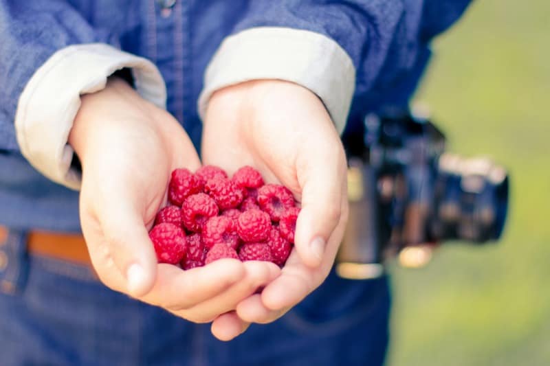 Healthy-eating-raspberries-21263